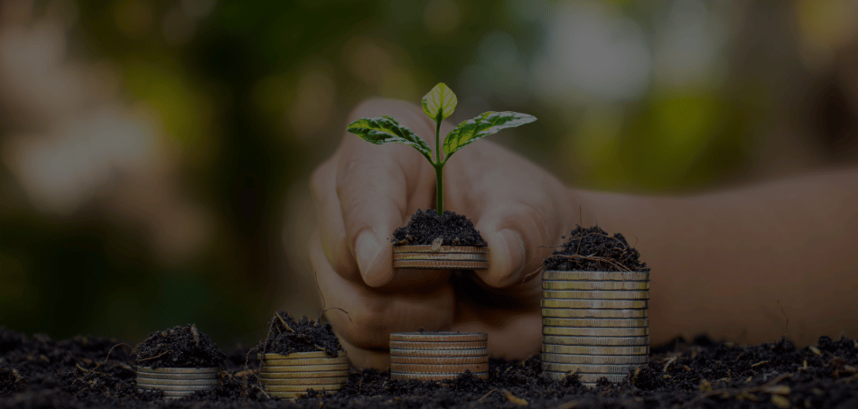 Empowering your financial wellbeing