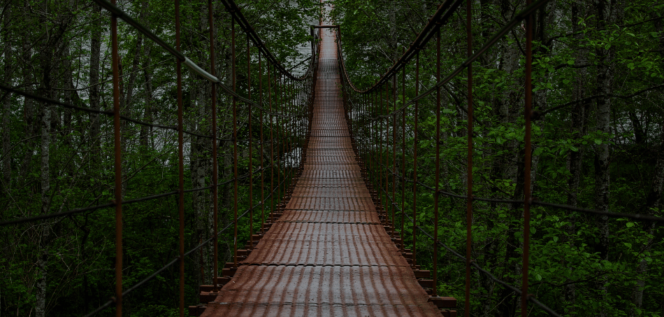 Creating a Safer Workplace Culture