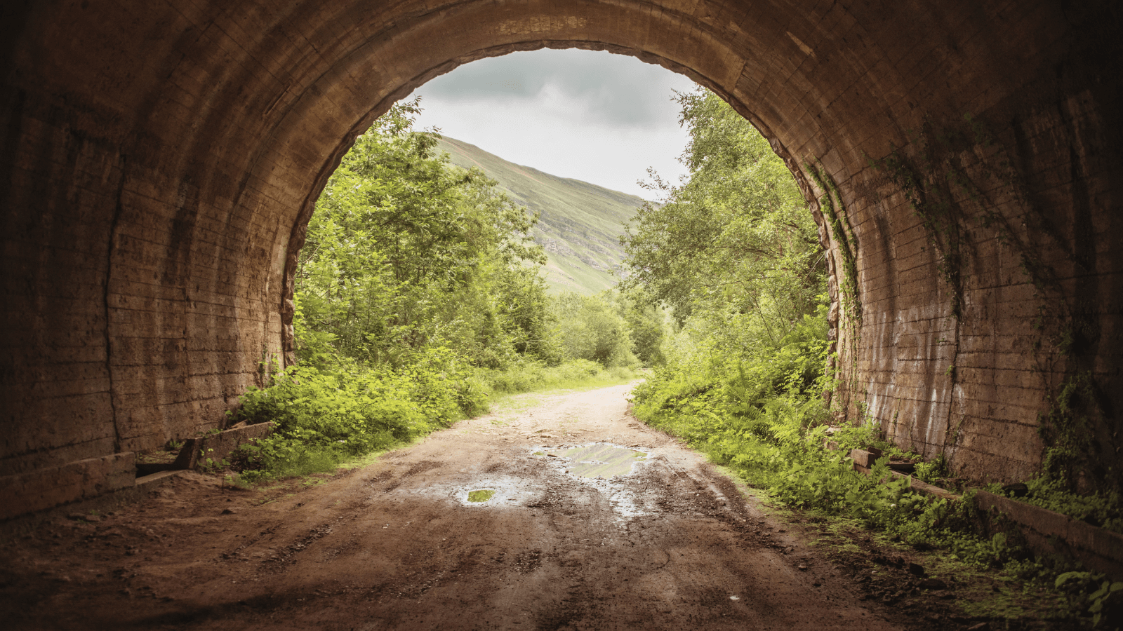 A picture of a tunnel, with the end of the tunnel in sight where you can see a road, sunlight and trees. To signify 'a light at the end of the tunnel'.